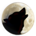cechiys.net favicon